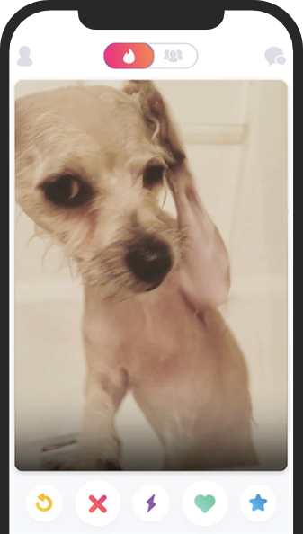 dog video call image